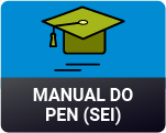 MANUAL SEI