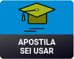 APOSTILA SEI USAR