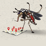 Imagem de um mosquito
