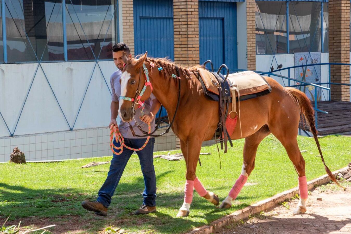 Inclusão: emoção marca a entrega da nova estrutura para a equoterapia