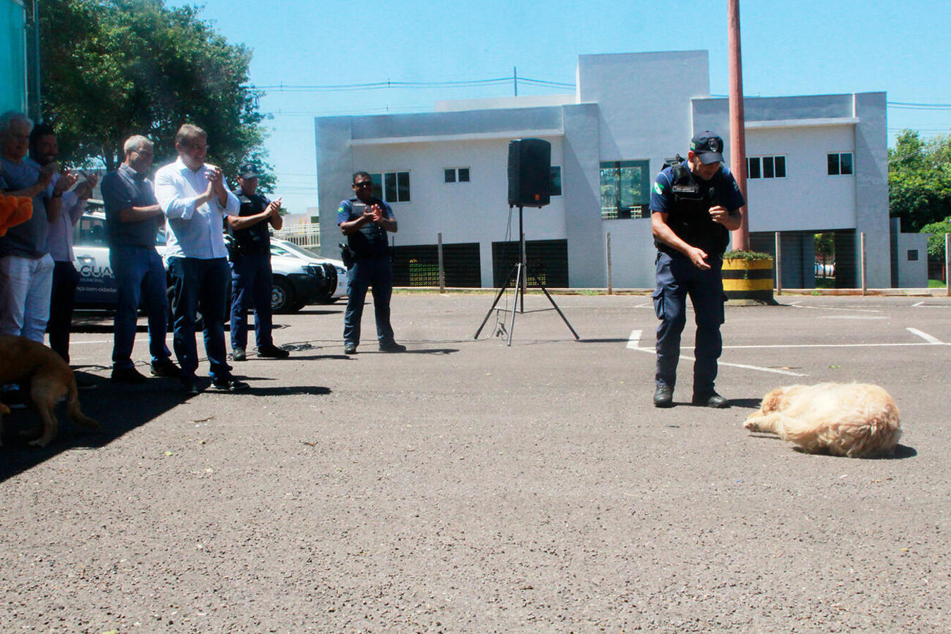 A solenidade de entrega do CastraMóvel contou com a presença de diversas autoridades, mas quem chamou a atenção foram os “aumigos” Tchutchucão e Dolly