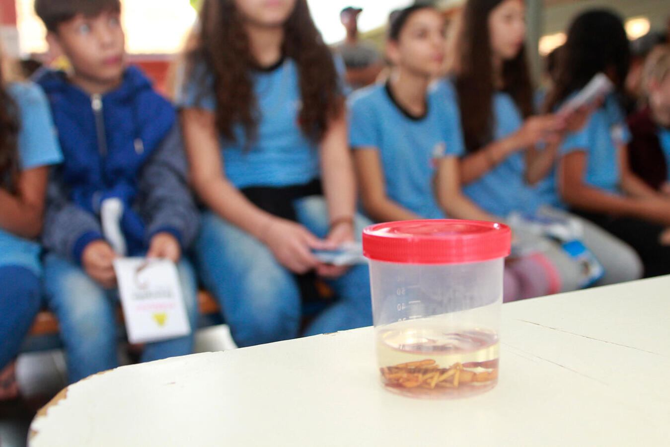 Profissionais de vários setores da Secretaria Municipal da Saúde (SMS) marcaram presença, oferecendo vários serviços e orientações à comunidade escolar