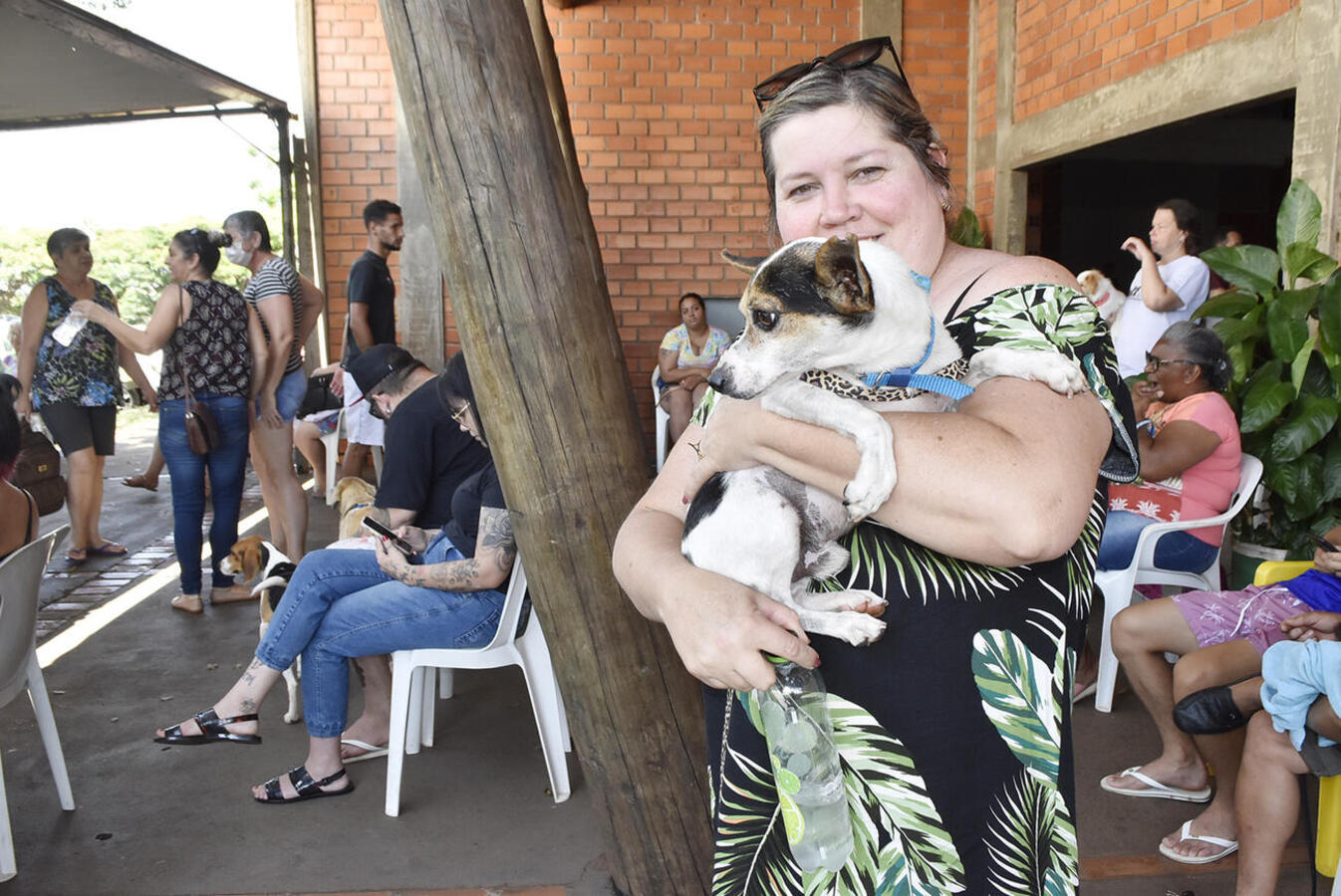 Mutirão do CastraPet atende em um dia o que a Proteção Animal tem a capacidade para atender em um mês na clínica conveniada do município