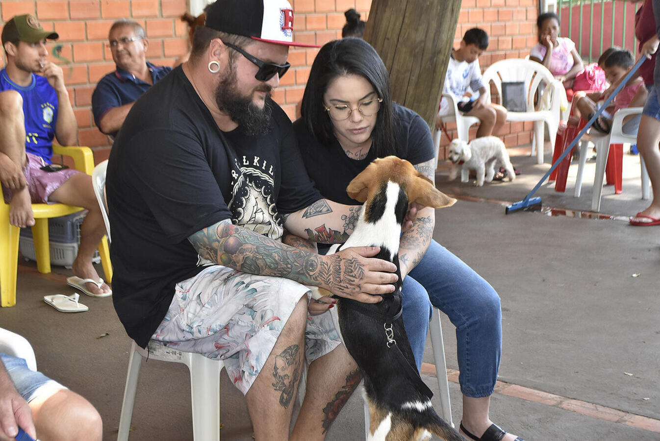 Mutirão do CastraPet atende em um dia o que a Proteção Animal tem a capacidade para atender em um mês na clínica conveniada do município