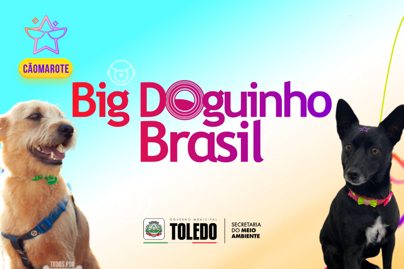 Primeira feira de adoções do ano da Secretaria de Meio Ambiente usa temática de reality show para sensibilizar a população 