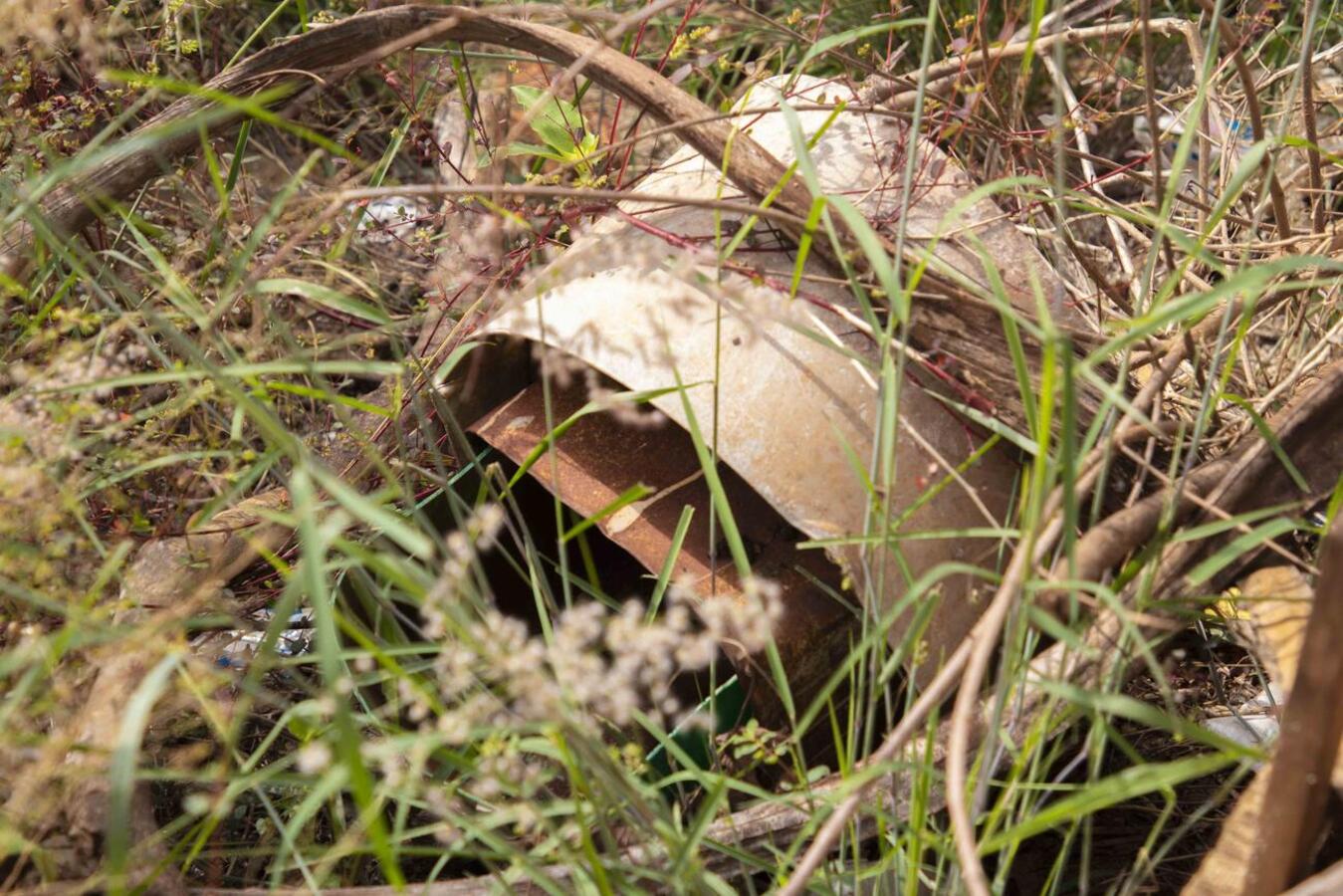 A maior preocupação dos ACE's é com os criadouros nos quintais. (Fotos - Departamento de Jornalismo)