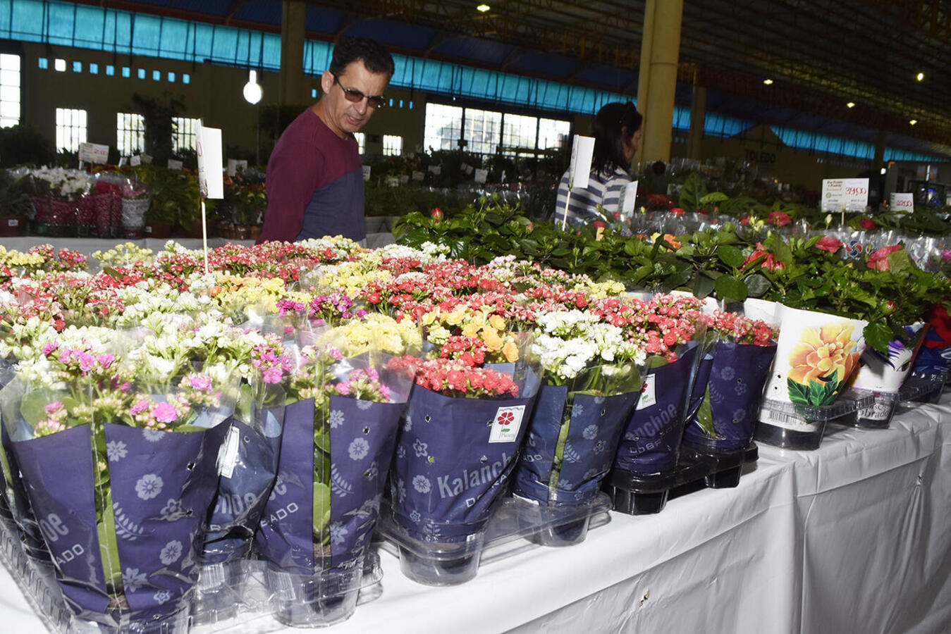 Iniciada na manhã desta quinta (20), feira promovida pelo Rotary Club de Toledo/Aliança prossegue até domingo (23) no Centro de Eventos Ismael Sperafico