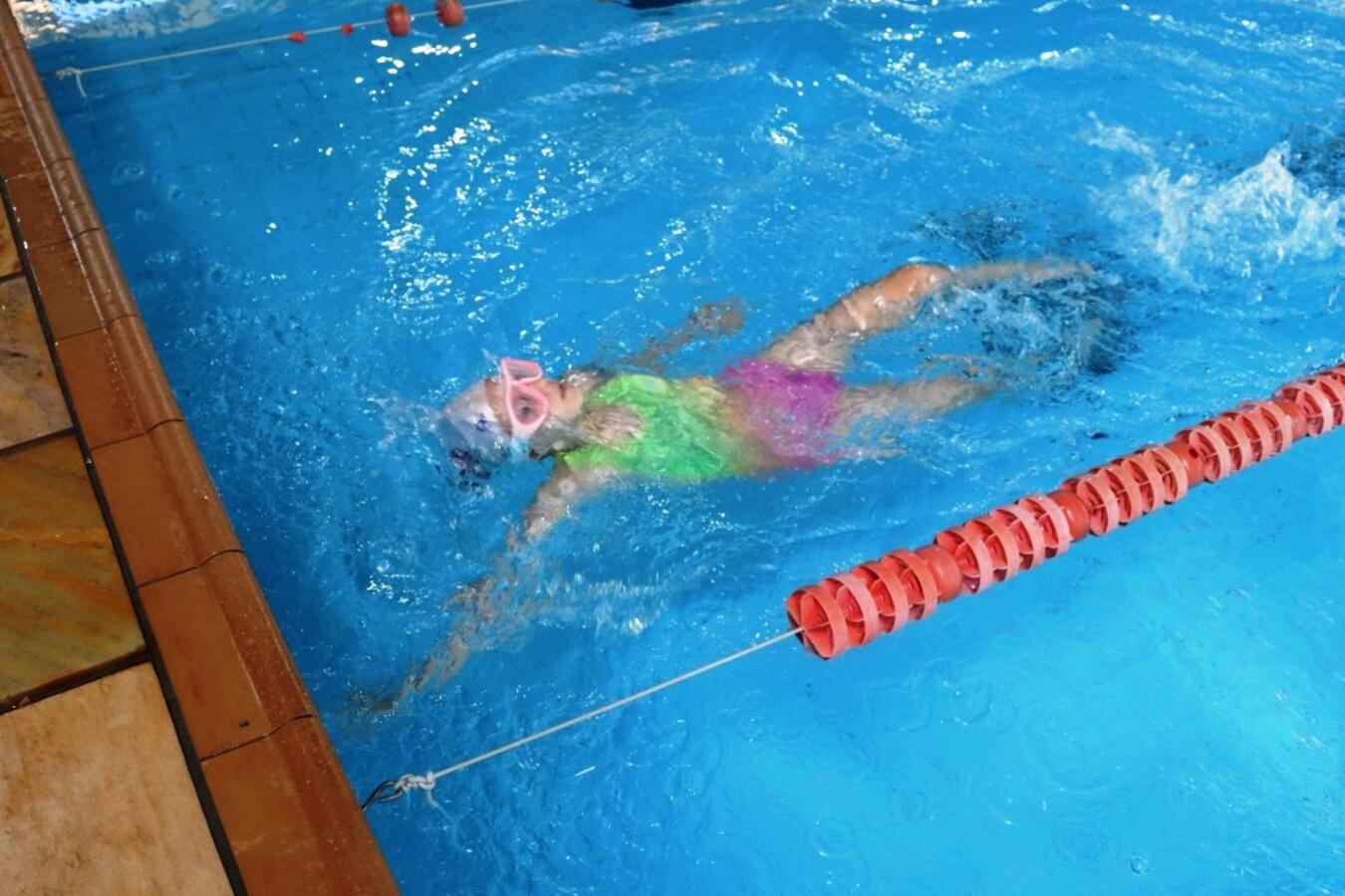 Festival de natação reúne crianças e adolescentes na Piscina Pública Claus Fuchs