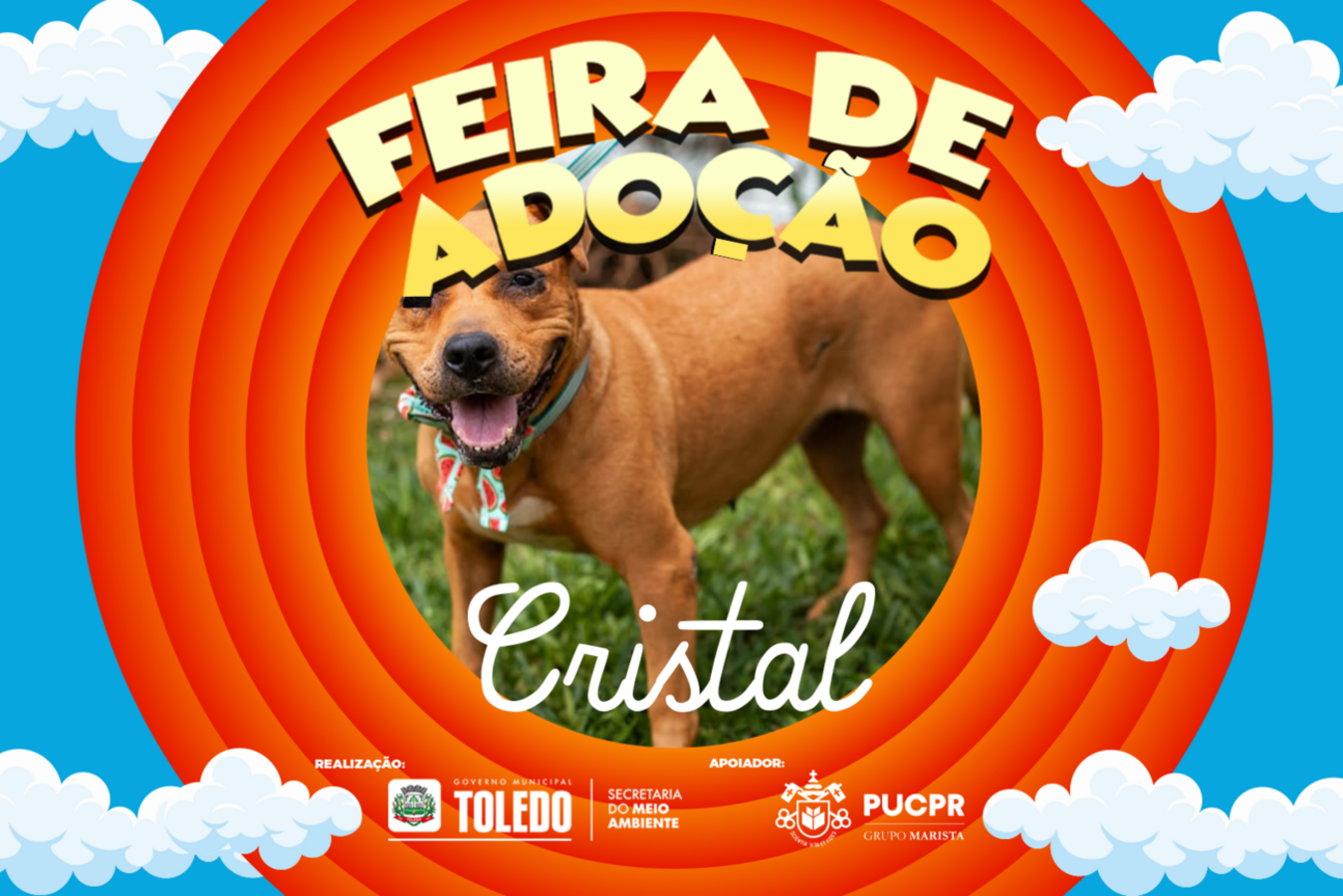 A feira acontece no Parque Ecológico Diva Paim Barth a partir das 15h