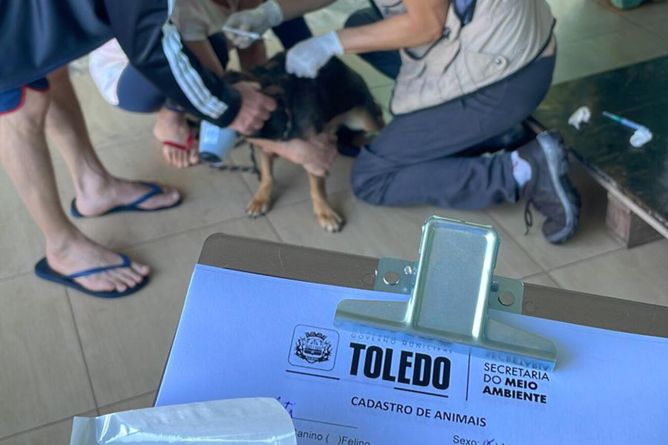 Durante este mês, doses serão aplicadas em cães e gatos comunitários, de famílias que integram o CadÚnico ou que estão sob guarda de protetoras cadastradas pela SMMA