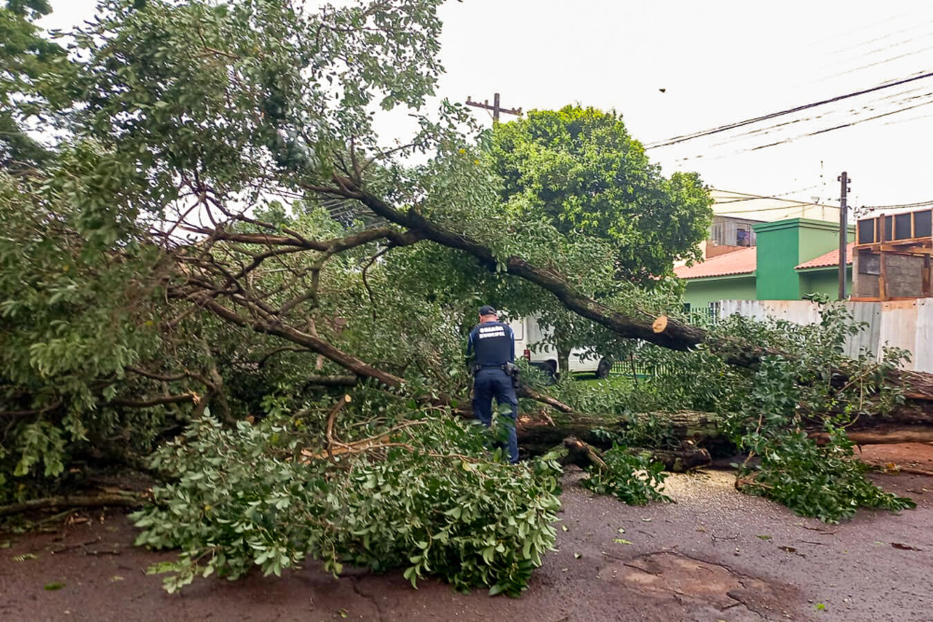 Secretaria de infraestrutura Rural e Urbana e de Serviços Públicos atualizam situação após temporal