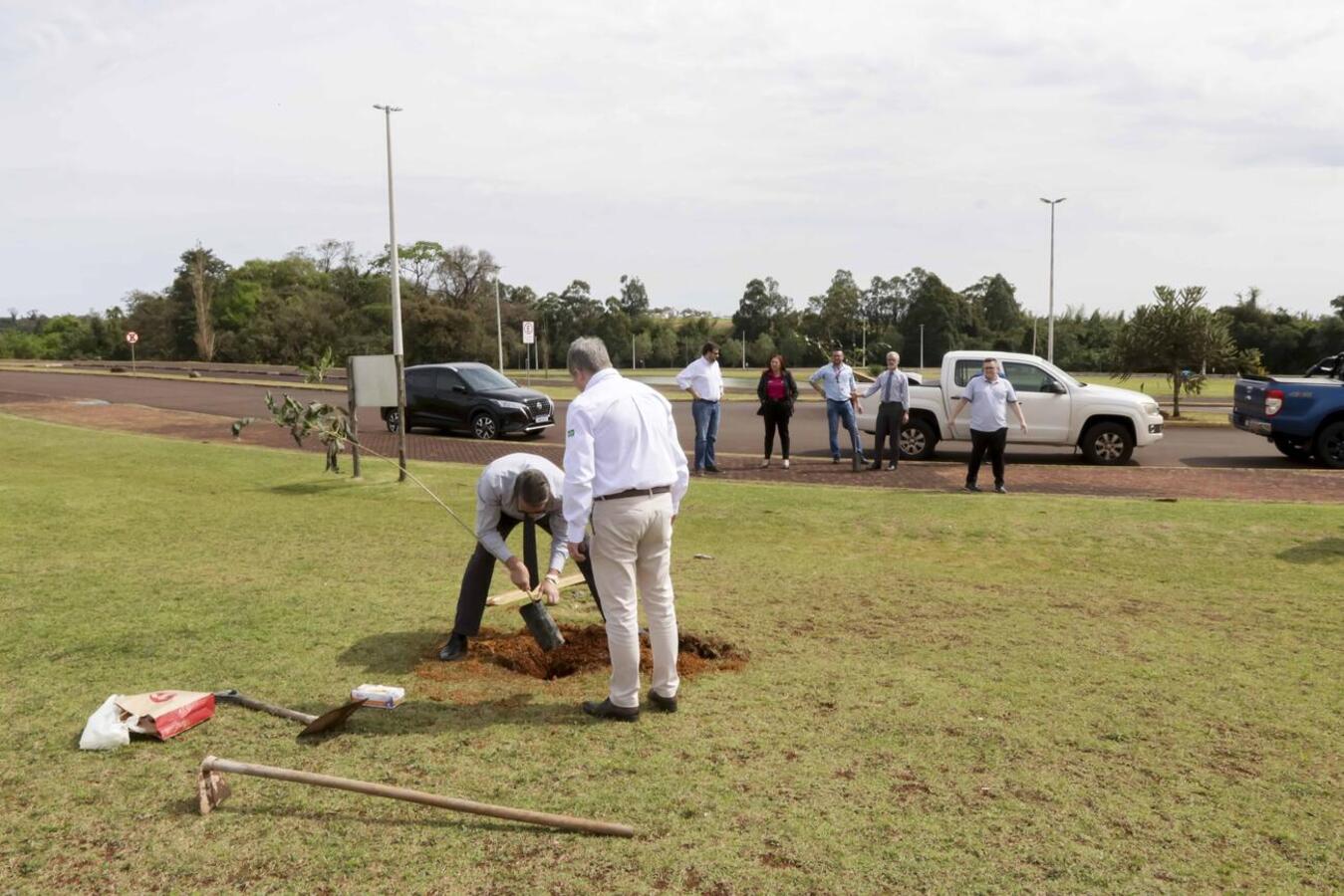 Ação faz parte da comemoração dos 10 anos do grupo Sancor no Brasil