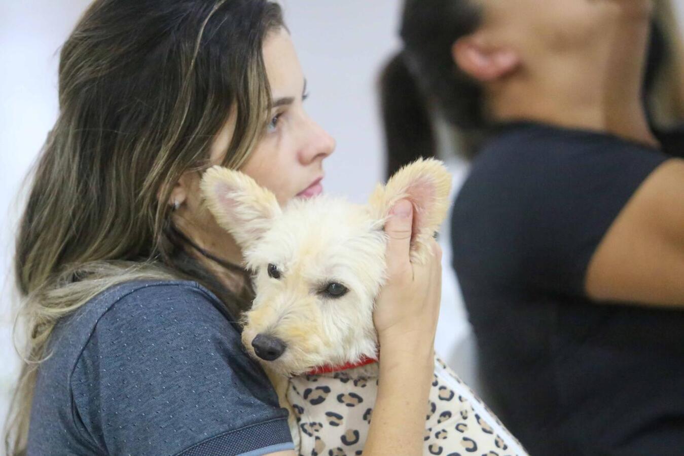 Evento lança o Banco de Ração e a primeira entrega de alimento às protetoras