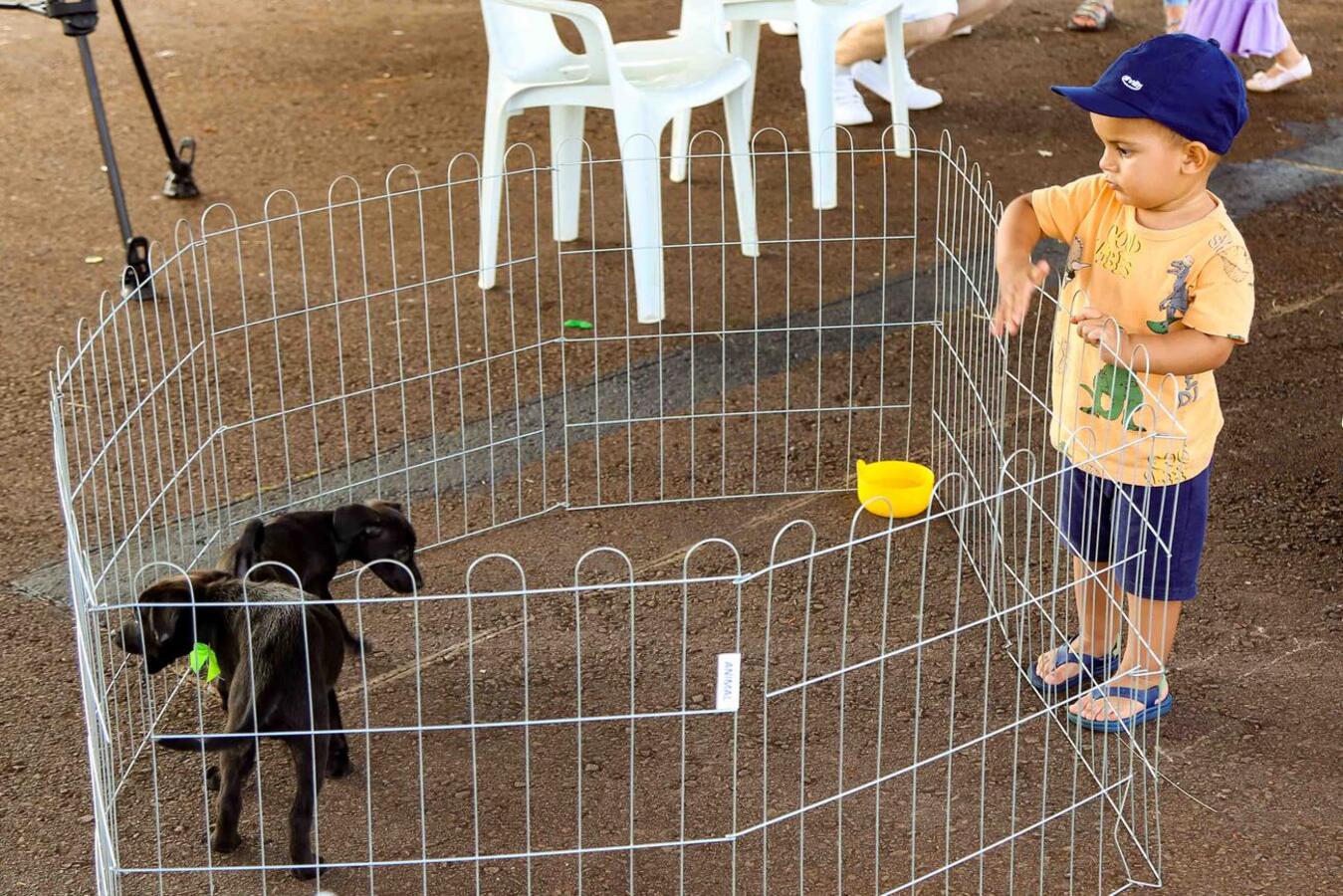 Primeiro espaço destinado aos “aumigos” foi entregue no sábado