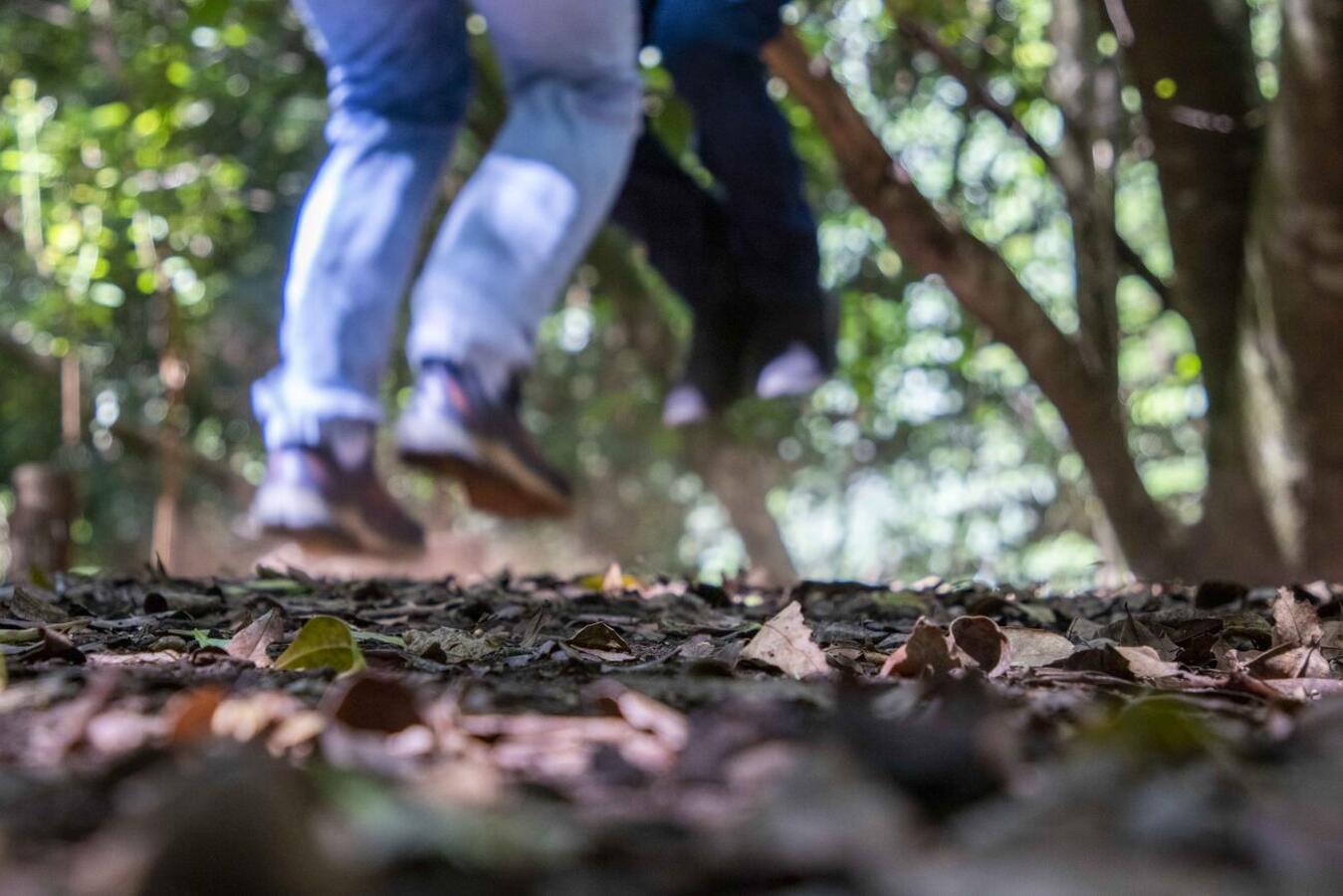 Os dois roteiros são oportunidades para uma reconexão com a natureza e o fortalecimento da saúde física e mental dos visitantes 