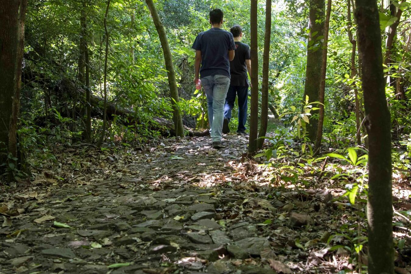Os dois roteiros são oportunidades para uma reconexão com a natureza e o fortalecimento da saúde física e mental dos visitantes 