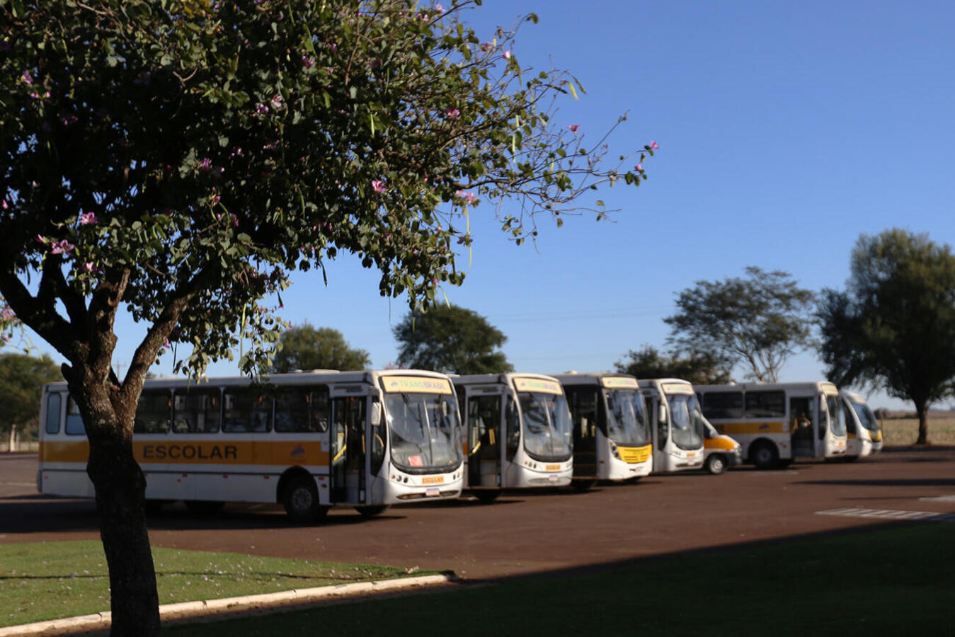 A vistoria será realizada no Centro de Eventos Ismael Sperafico nos dias 23 e 24 de janeiro para o transporte urbano e na Secretaria de Segurança nos dias 24 e 25 para o transporte escolar rural