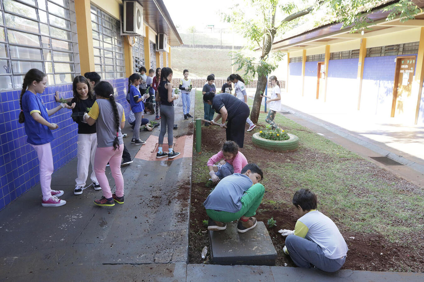 O Dia Mundial do Meio Ambiente é comemorado todo dia 05 de junho