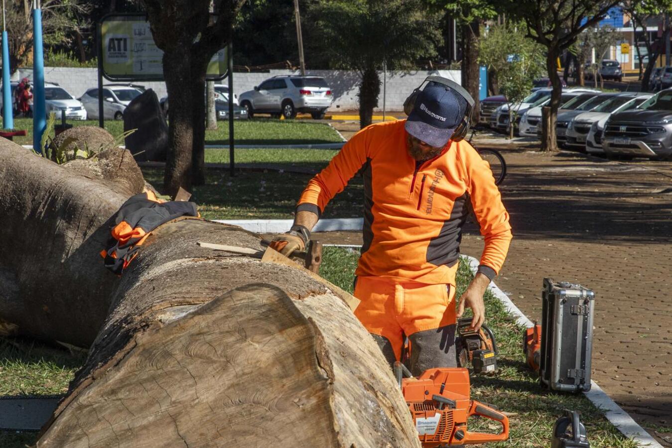 Os trabalhos do escultor Elvis Ribeiro já começaram na Praça da Cultura e devem se estender durante todo o mês de julho