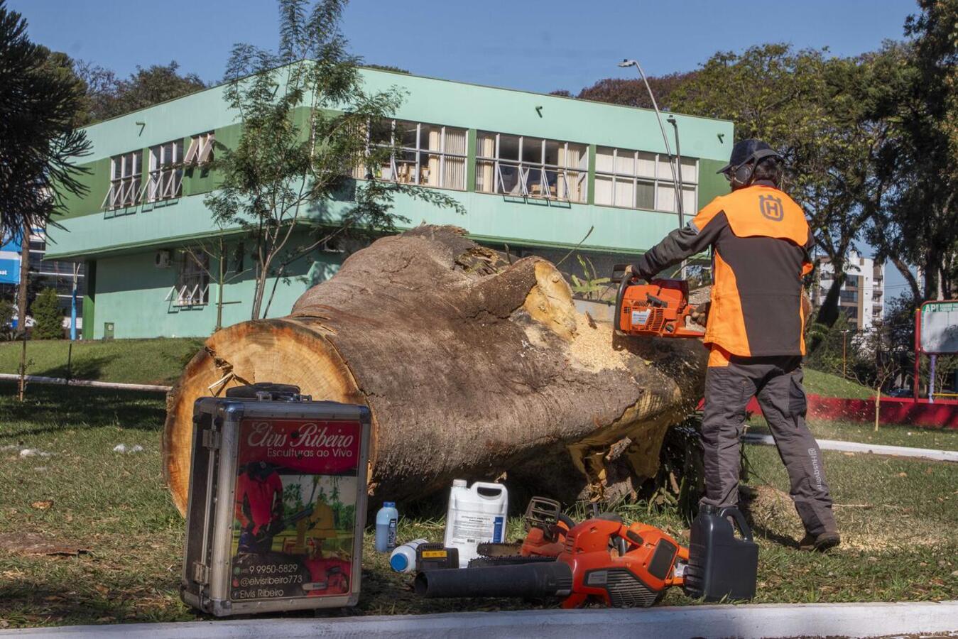 Os trabalhos do escultor Elvis Ribeiro já começaram na Praça da Cultura e devem se estender durante todo o mês de julho