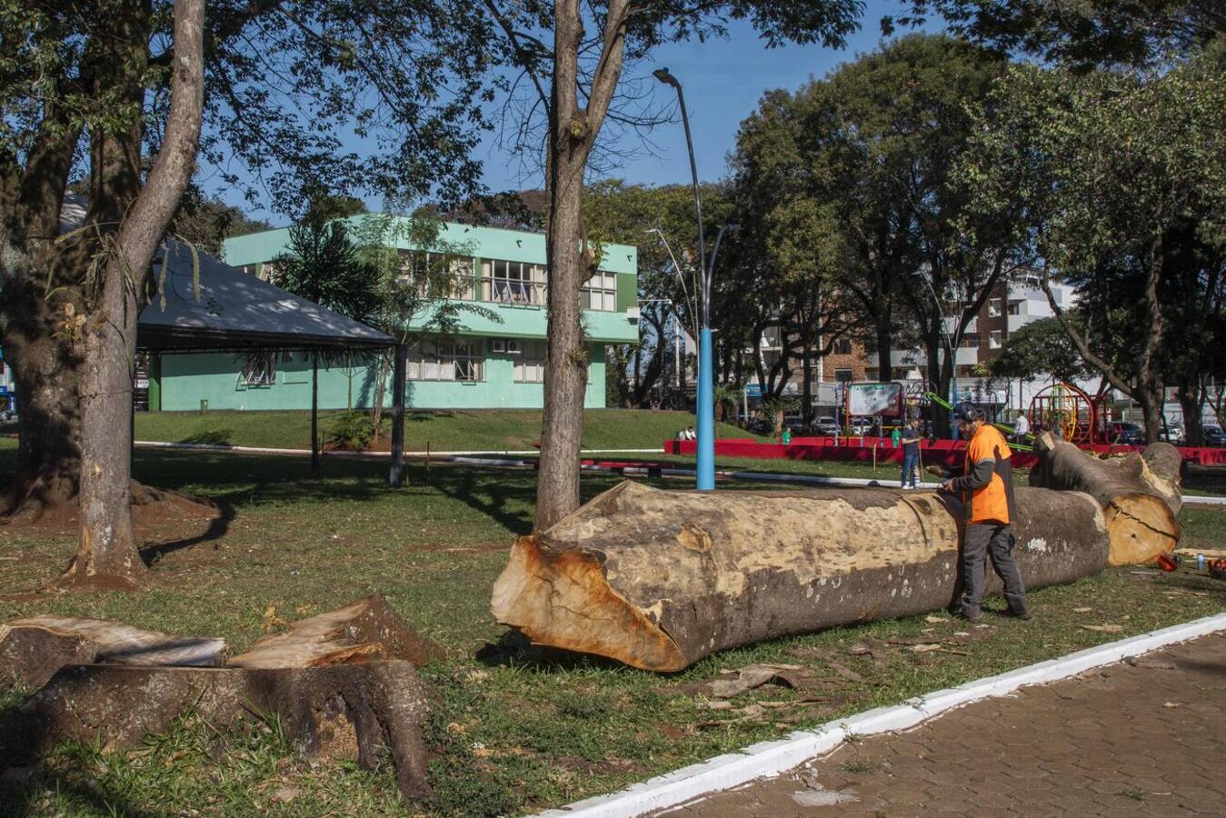 Os trabalhos do escultor Elvis Ribeiro já começaram na Praça da Cultura e devem se estender durante todo o mês de julho