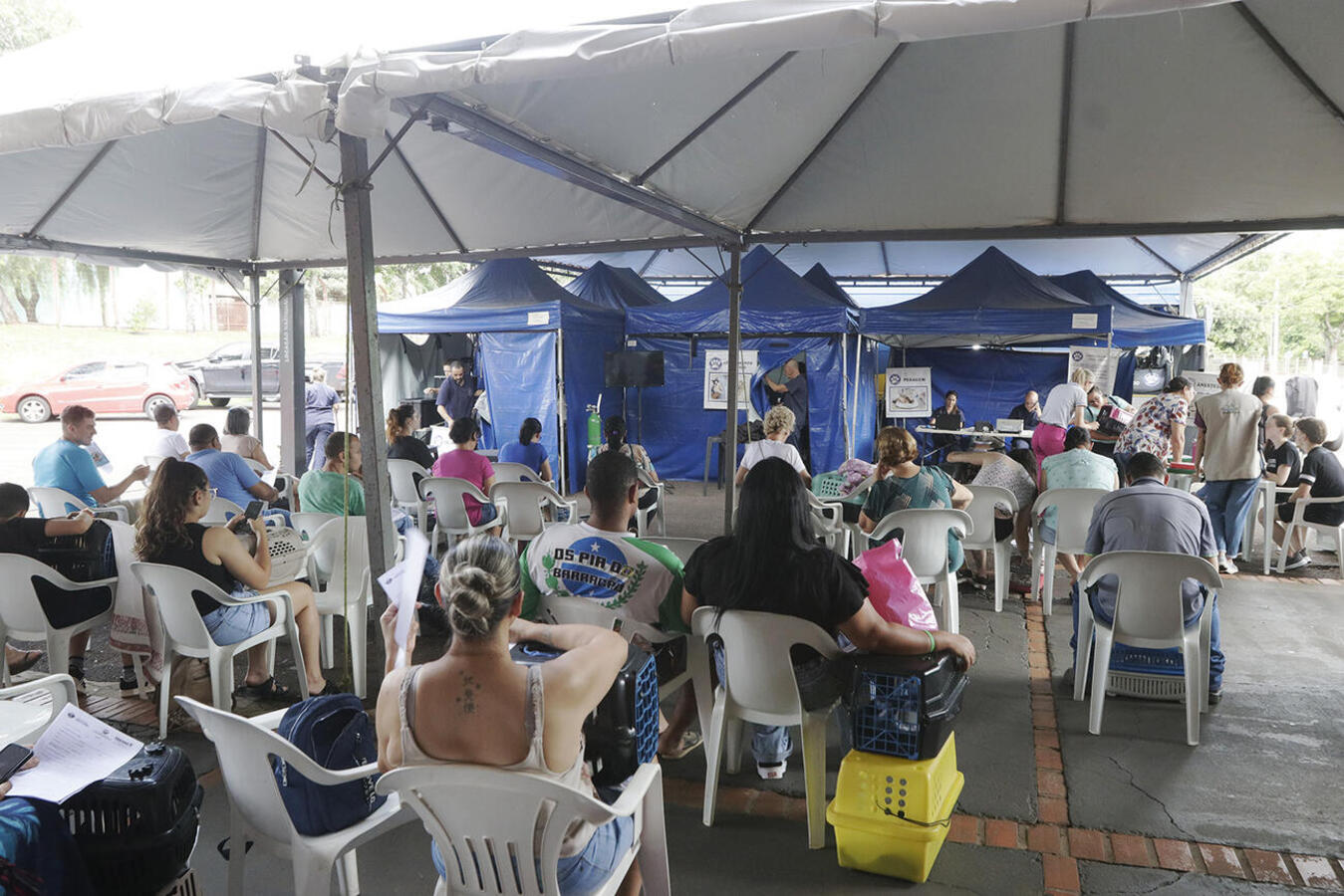 Projeto da Sedest, realizado em parceria com a SMMA, realizou, na tarde desta quarta-feira (6), no Centro de Eventos Deziré Refosco, castrou 108 cães e gatos
