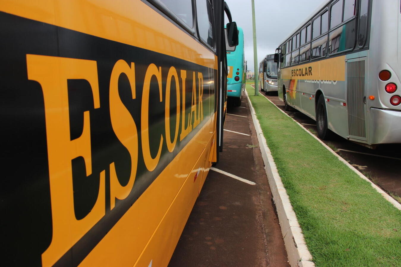 Dividido em 13 blocos, serviço será oferecido em 62 rotas que levarão alunos das redes municipal e estadual de suas casas ao estabelecimento de ensino mais próximo