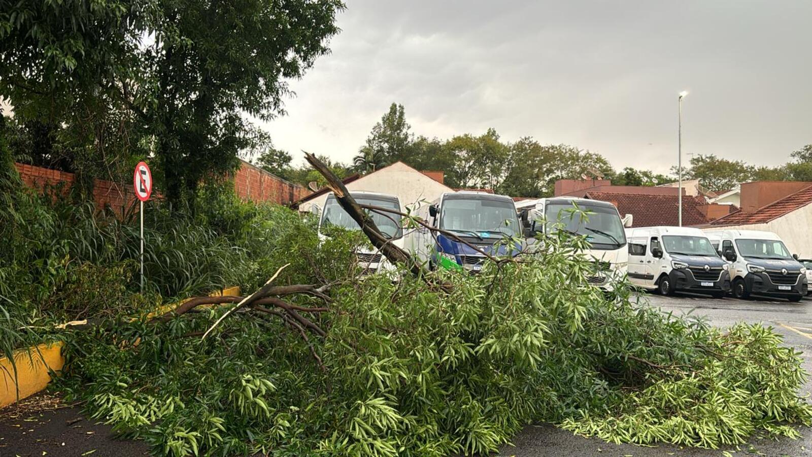 Chuva forte no final da tarde desta segunda-feira (10) derruba árvores e postes, deixando vários pontos sem energia e prejudicando o trânsito