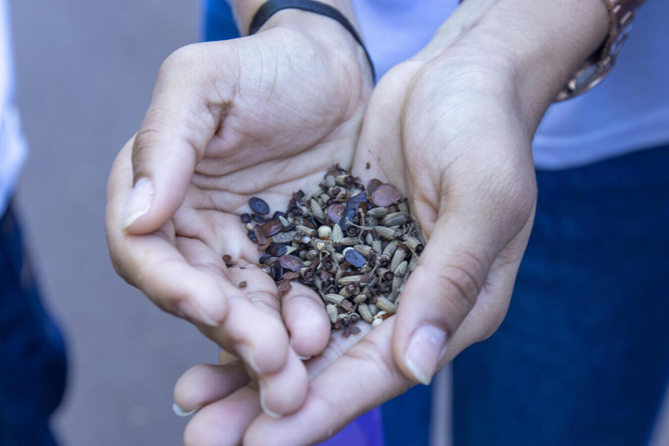 Ações educativas na Usina do Conhecimento e uma caminhada até a Sanga Pyahu destacaram a importância de preservar esse bem precioso aos seres vivos