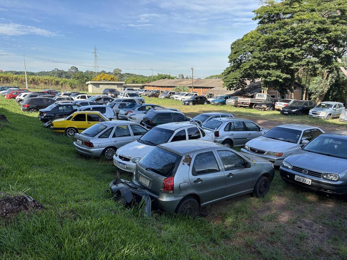 Serão dois dias para retirada dos veículos pelos compradores, com objetivo de realizar rodízio de veículos e desocupar espaço no pátio