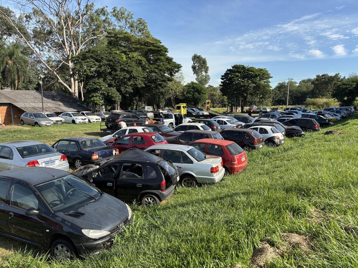 Serão dois dias para retirada dos veículos pelos compradores, com objetivo de realizar rodízio de veículos e desocupar espaço no pátio