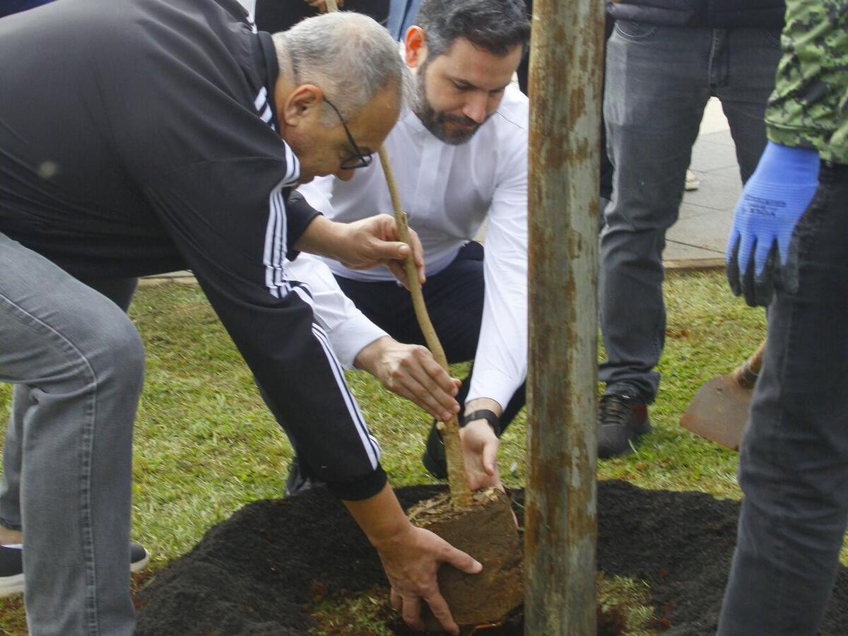 Foi plantado um Ipê-branco ao lado do letreiro “Eu amo Toledo” em homenagem ao papa Francisco