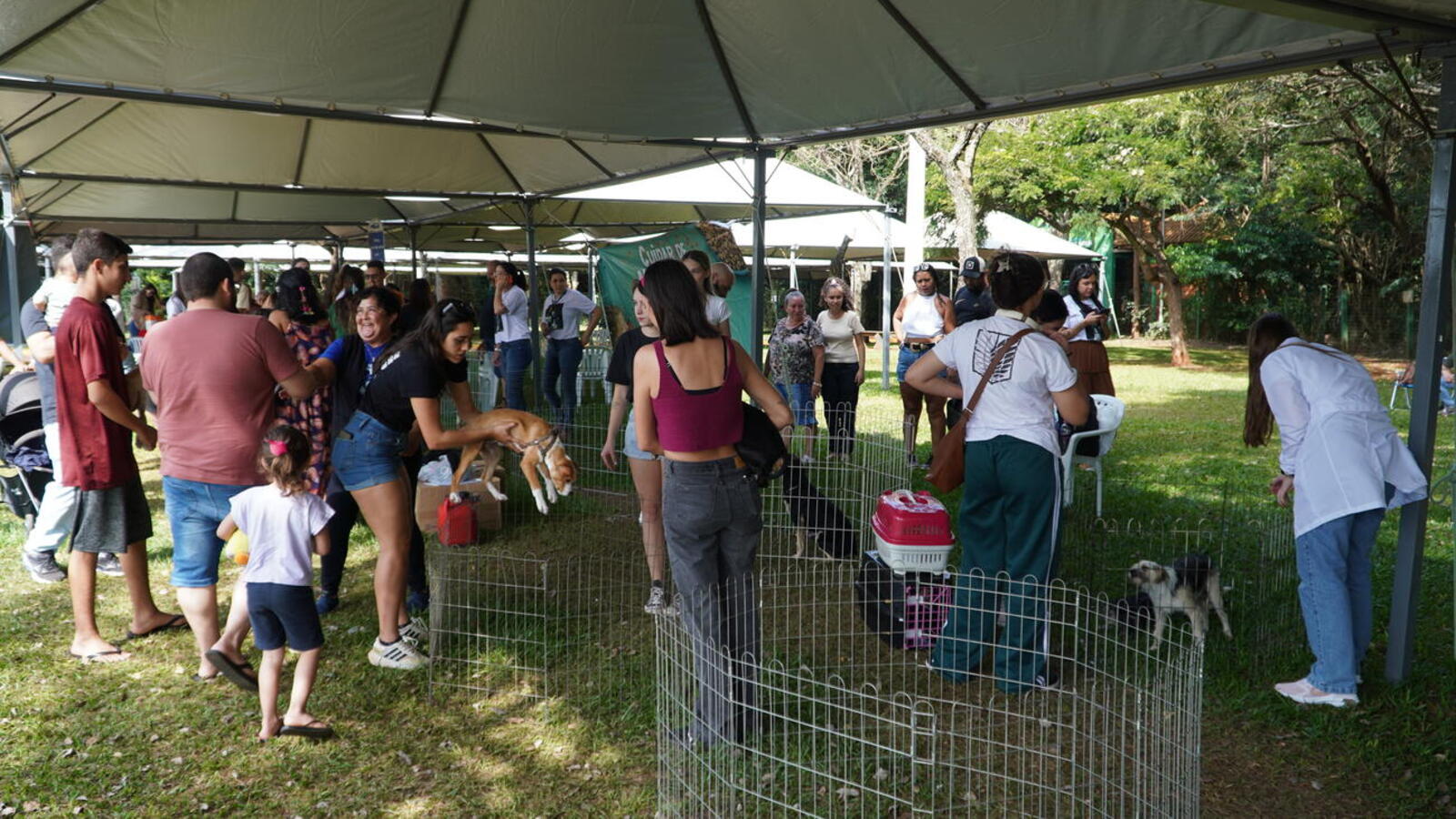 Ao todo, 50 animais foram colocados para adoção em evento no Parque Ecológico Diva Paim Barth, promovido pela Secretaria do Meio Ambiente