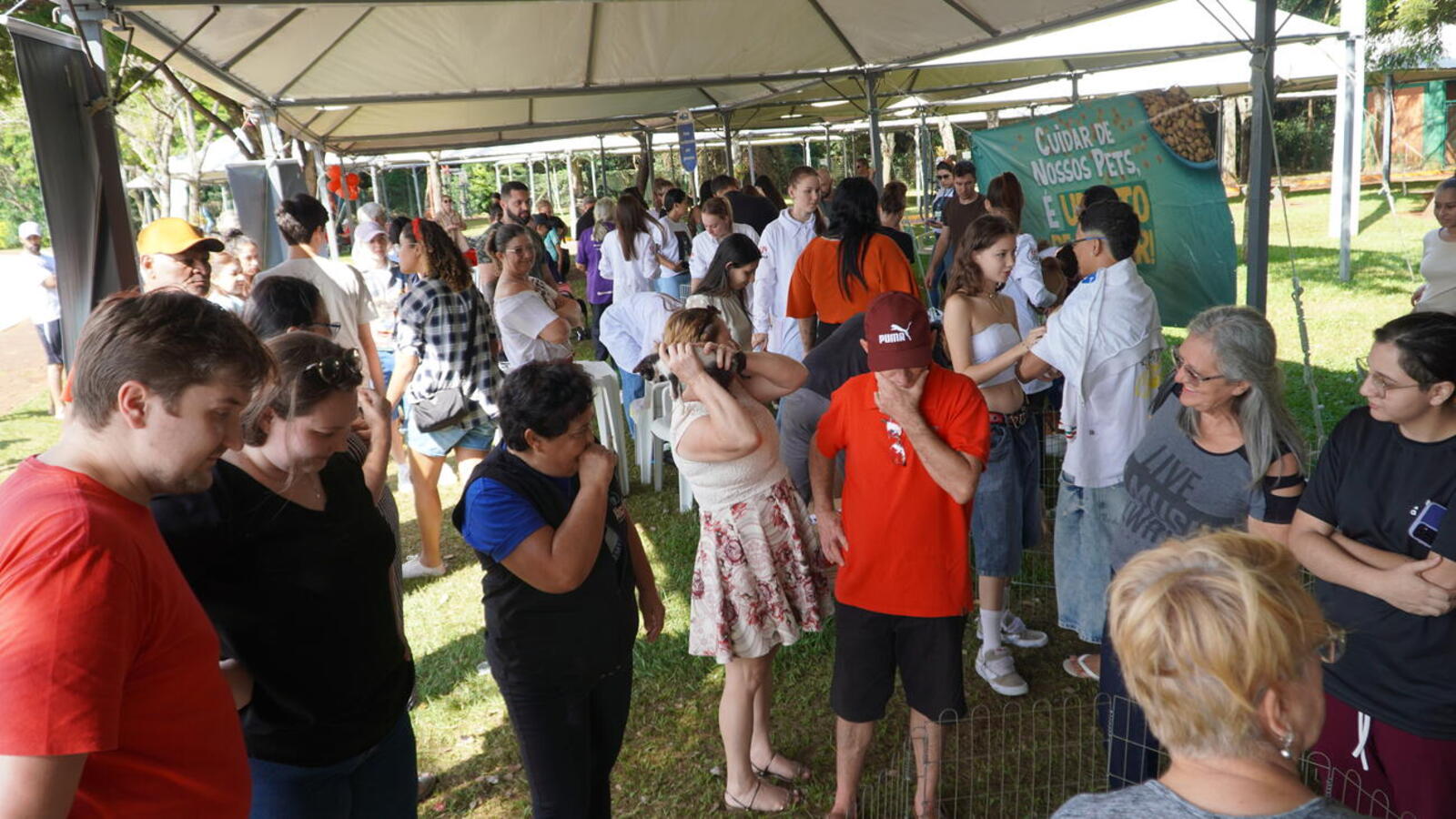 Ao todo, 50 animais foram colocados para adoção em evento no Parque Ecológico Diva Paim Barth, promovido pela Secretaria do Meio Ambiente