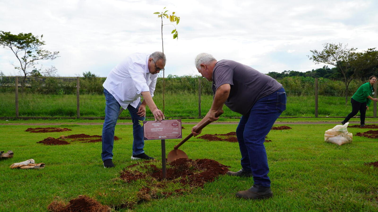 Cerca de 250 unidades de sete espécies foram plantadas na manhã desta segunda-feira (5) em mobilização que envolveu órgãos públicos e entidades