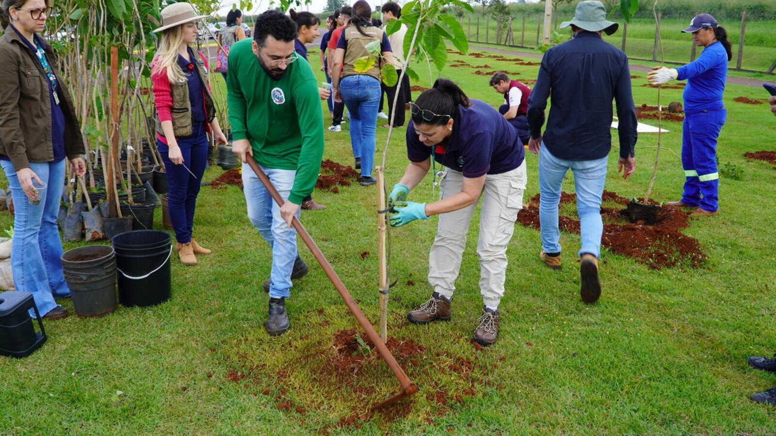Cerca de 250 unidades de sete espécies foram plantadas na manhã desta segunda-feira (5) em mobilização que envolveu órgãos públicos e entidades