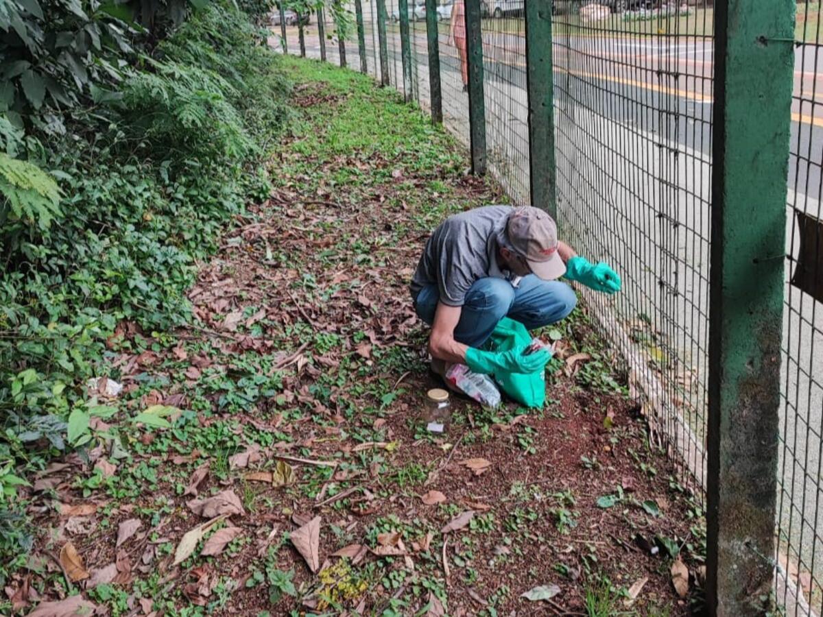 A Secretaria de Agricultura e Proteína Animal, visando minimizar os danos causados ao meio ambiente pela formiga cortadeira, realizou ações para o controle do inseto