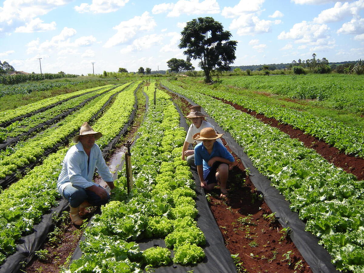 Durante os dias 24 a 31 de julho a Secretaria da Agricultura e Proteína Animal estará realizando a Semana do Agricultor, um evento repleto de atividades para todos os públicos