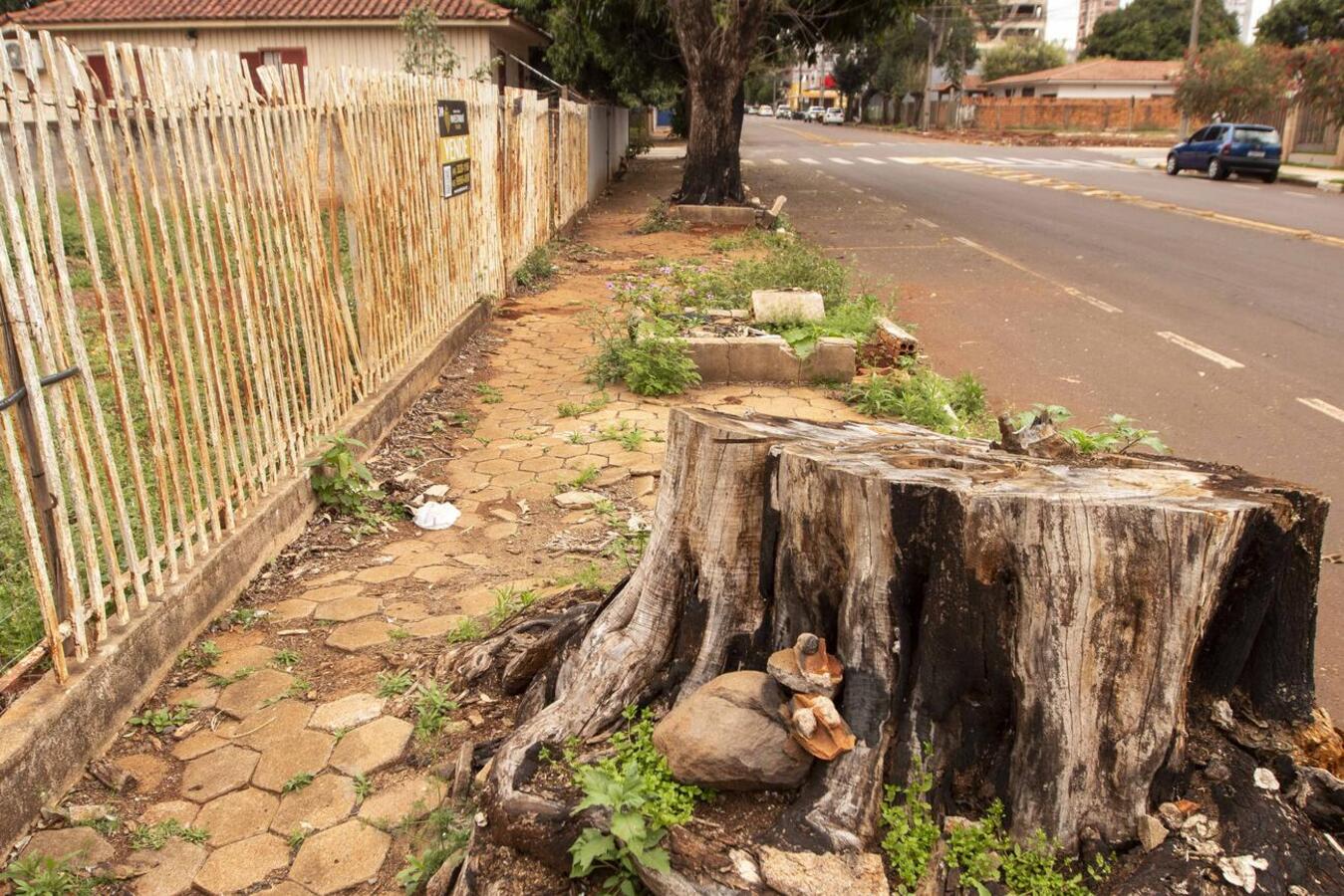 Devido a reclamações constantes da comunidade sobre a falta de calçada, calçada irregular ou depósito de materiais sobre elas, a Secretaria de Infraestrutura passa algumas orientações quanto ao tema
