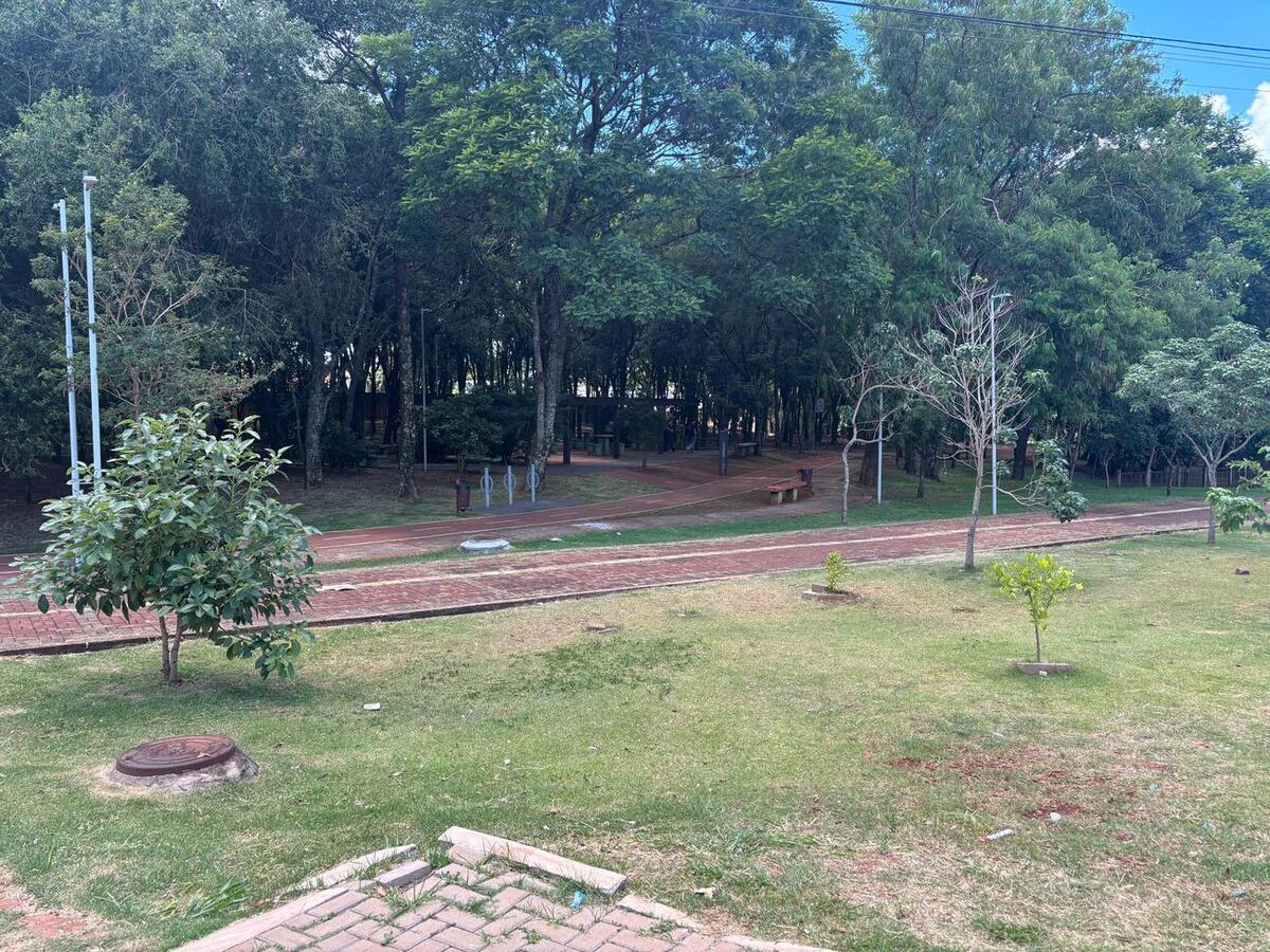 Evento contará com trilha guiada, oficina de cerâmica, pinturas de boca de lobo, limpeza das margens e plantio de mudas ao longo do arroio