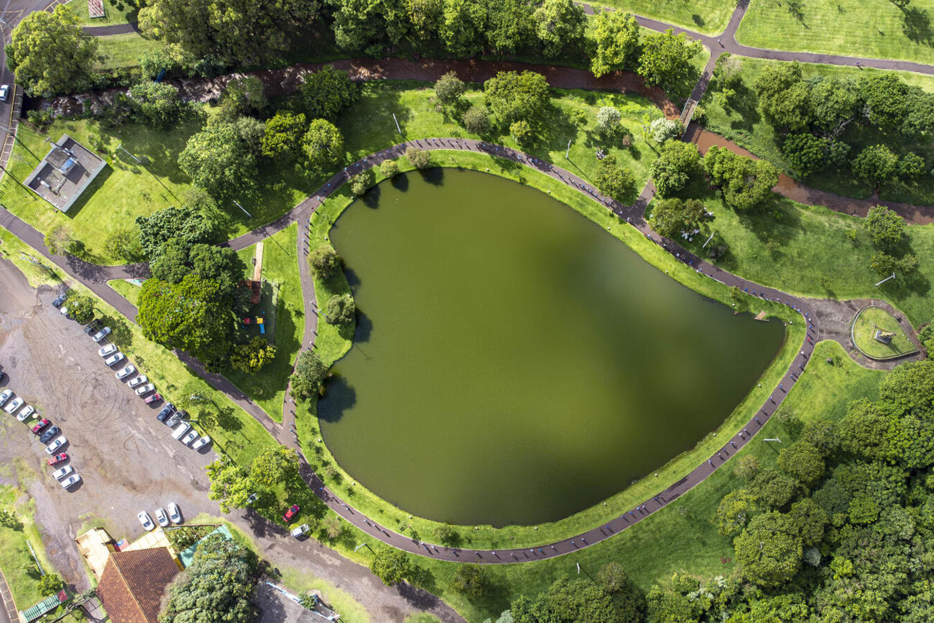 Na manhã desta terça-feira (18), idosos do Centro de Revitalização da Terceira Idade da Vila Pioneiro realizaram uma caminhada no Parque dos Pioneiros, em alusão ao novembro azul