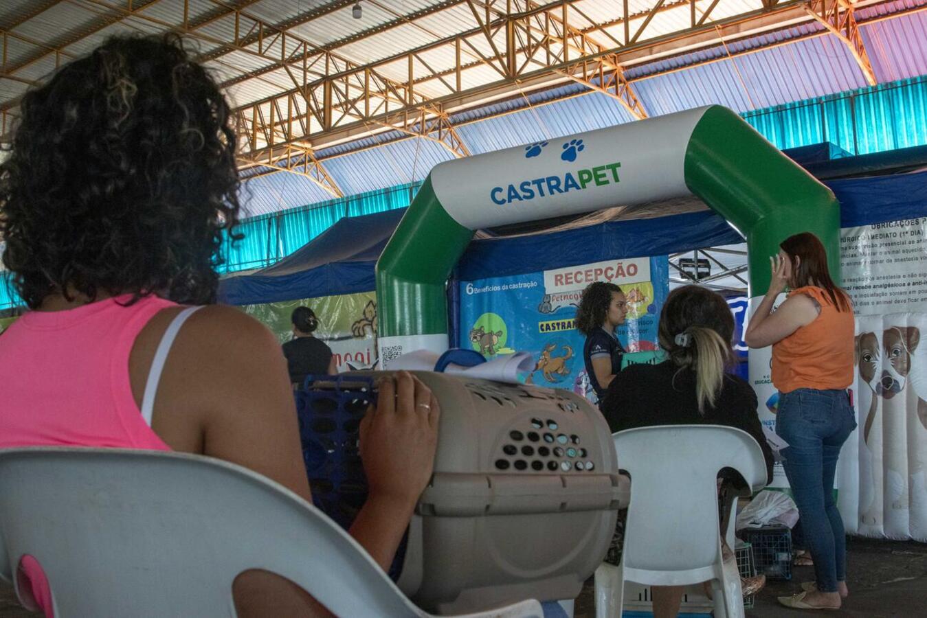 Mais de 280 animais (a maioria de protetoras cadastradas) serão atendidos entre quinta e sexta (27 e 28) por projeto da Sedest, que conta com o apoio da SMMA