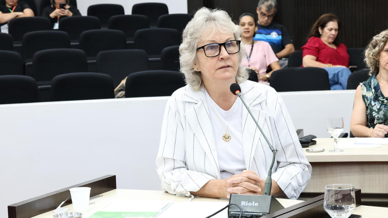 Plenário da Casa de Leis recebeu, na manhã desta sexta (28), audiência pública na qual a pasta apresentou relatórios relacionados à execução física e financeira do orçamento