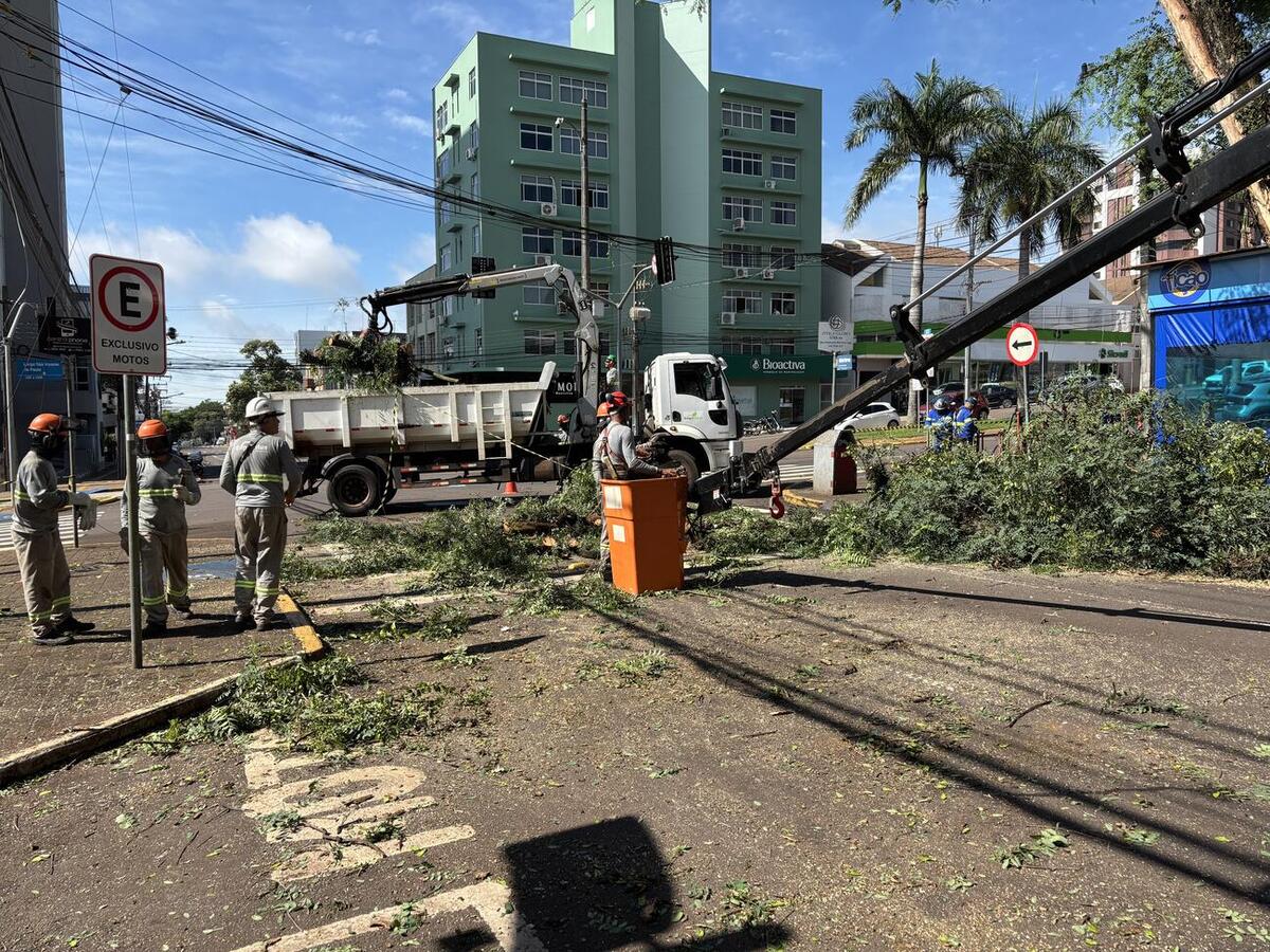 Trabalho ocorreu na manhã de terça (2), após isolamento da área, em trabalho conjunto da Defesa Civil, da Guarda Municipal e das secretarias de Infraestrutura Rural e Urbana e do Meio Ambiente