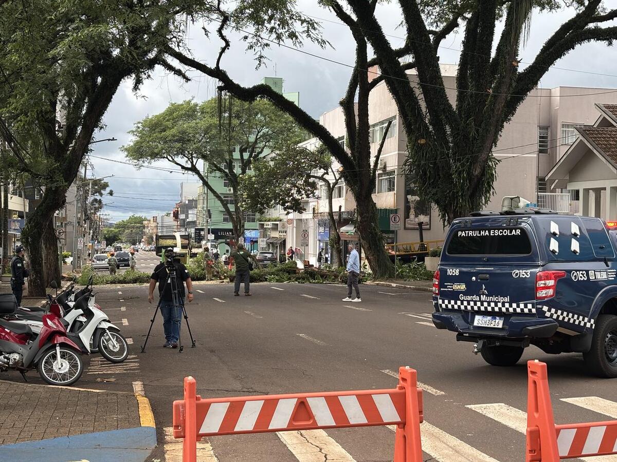 Objetivo é garantir a segurança. Replantio será feito com espécies mais adaptadas às necessidades da área central da cidade
