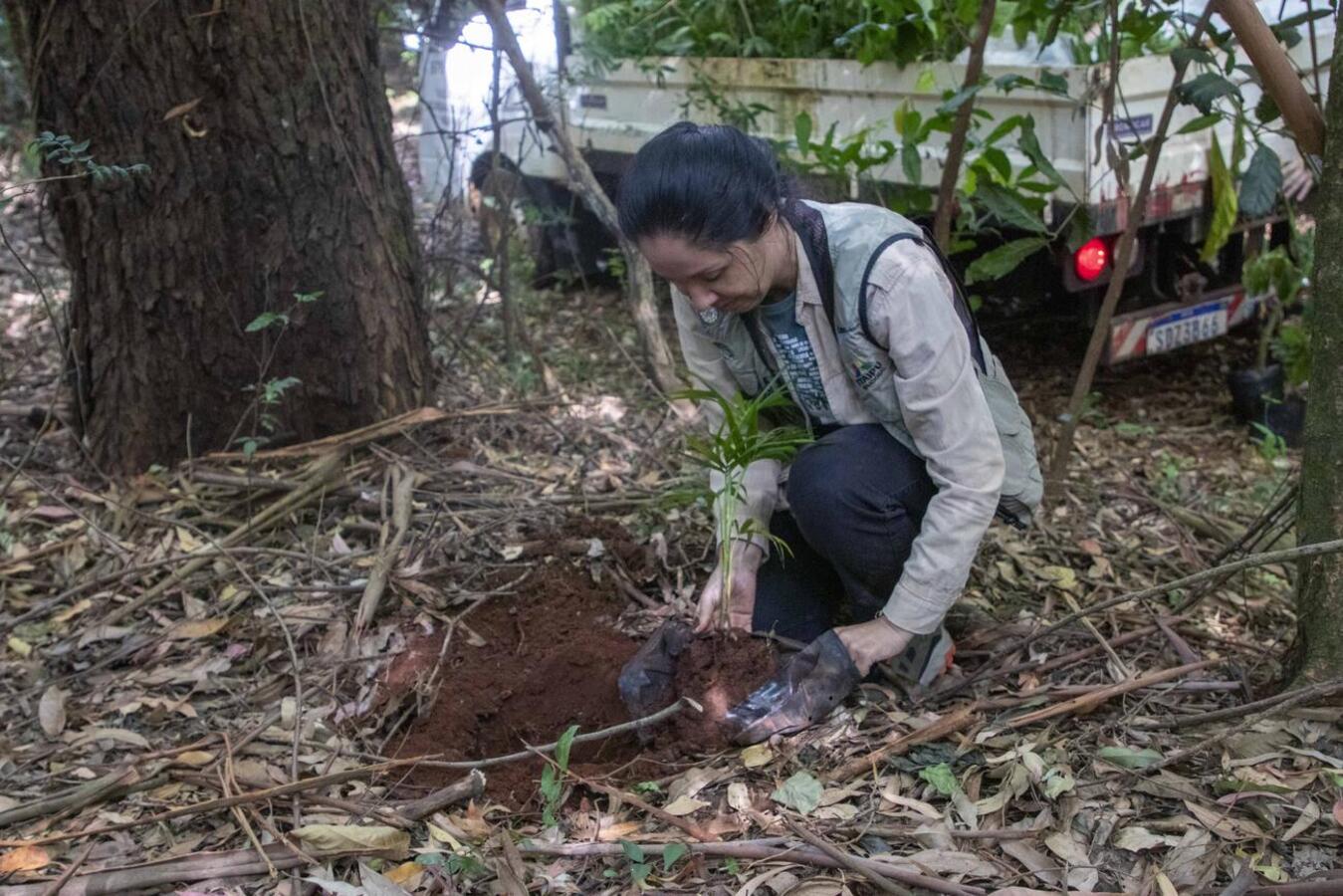 Na manhã desta sexta-feira (28) a Secretaria do Meio Ambiente realizou o enriquecimento da mata ciliar próxima a nascente do Rio Toledo, em alusão ao dia do rio