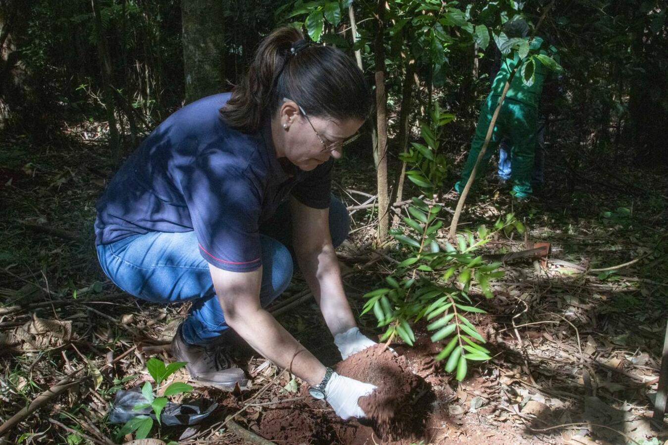 Na manhã desta sexta-feira (28) a Secretaria do Meio Ambiente realizou o enriquecimento da mata ciliar próxima a nascente do Rio Toledo, em alusão ao dia do rio