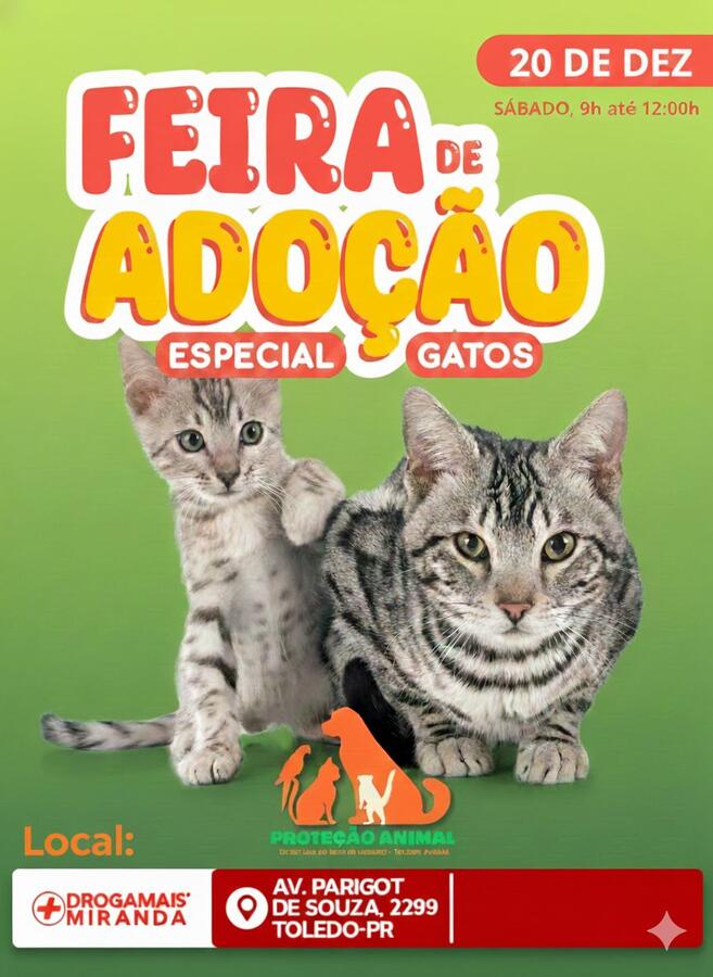No dia 20, na Drogamais Miranda, a Coordenadoria de Defesa e Proteção Animal realizará uma feira de adoções especialmente para gatos