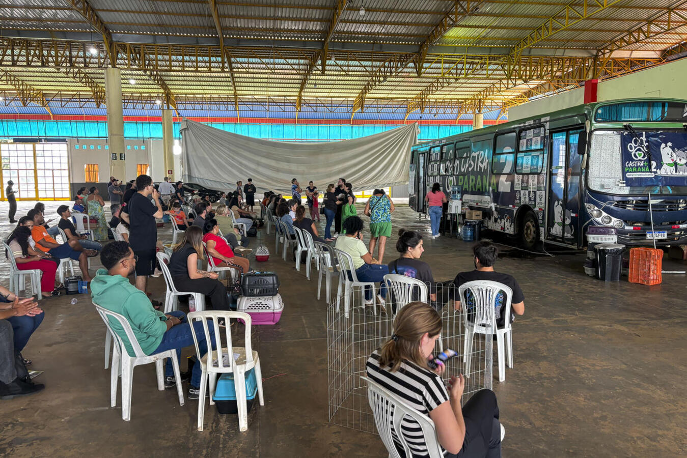 Atendimentos ocorreram no Centro de Eventos e envolveram tutores, ONGs e protetoras independentes