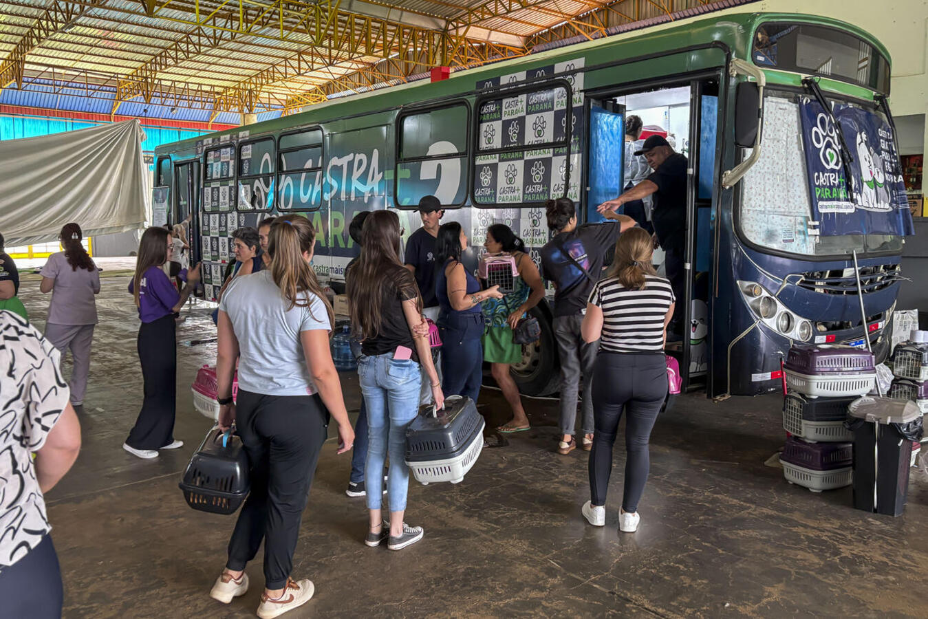 Atendimentos ocorreram no Centro de Eventos e envolveram tutores, ONGs e protetoras independentes